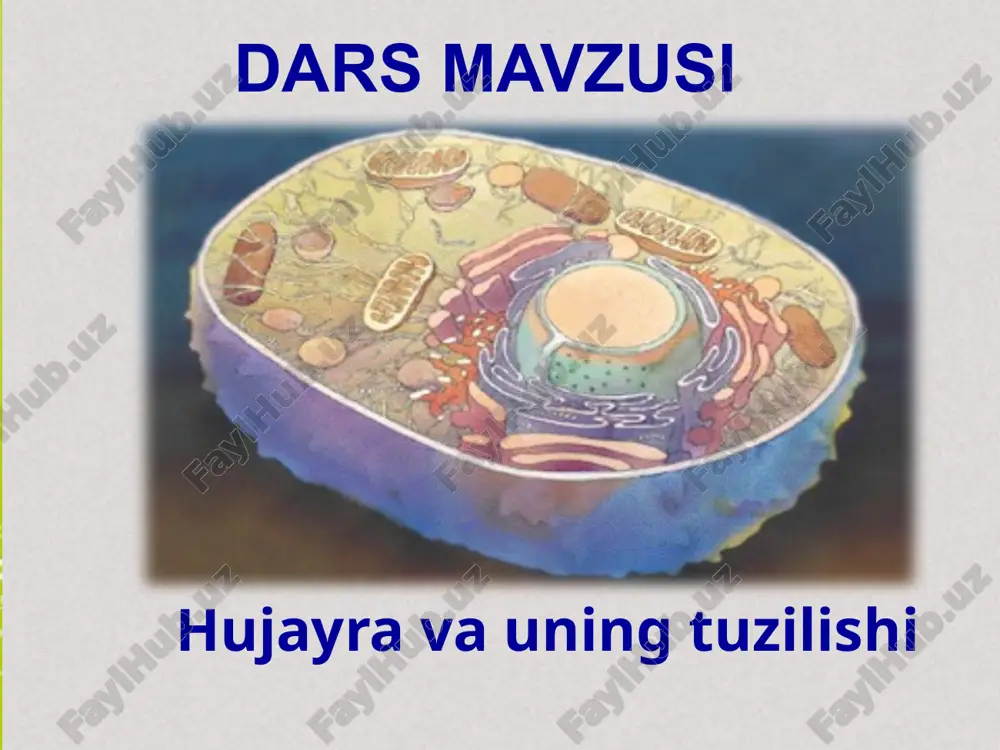 hujayra va uning tuzilishi — PPTX
