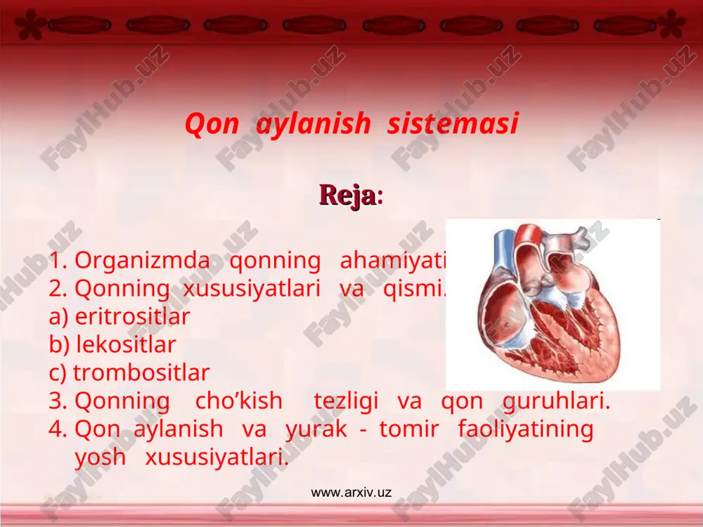 qon aylanish sistemasi — PPT