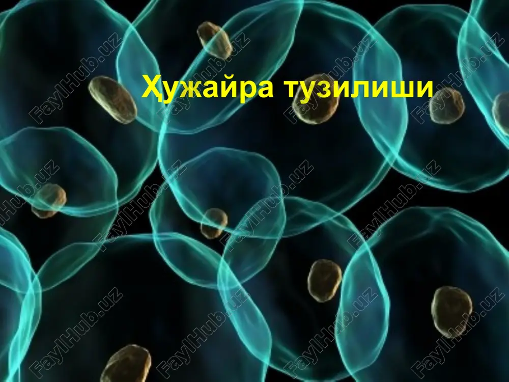 hujayra tuzilishi — PPTX