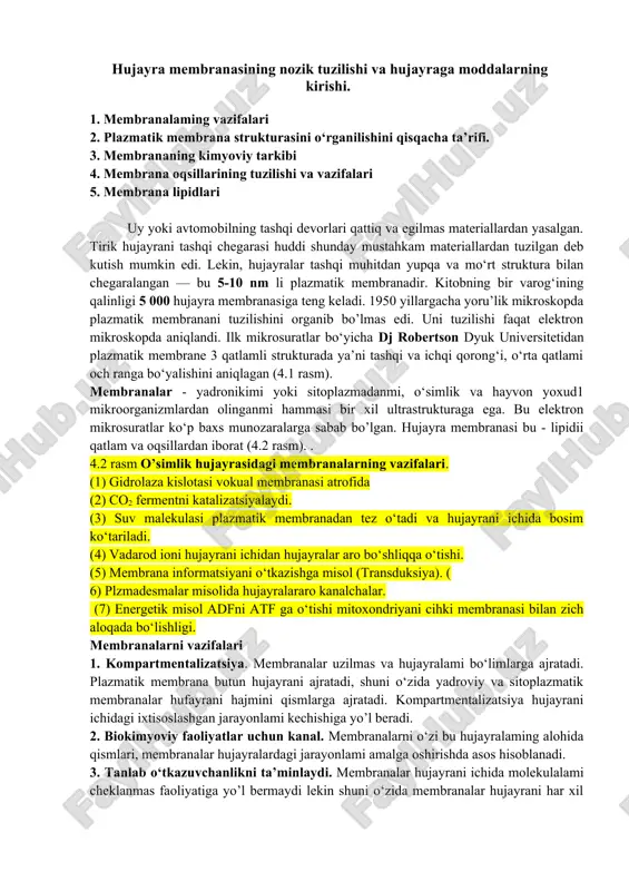 hujayra membranasining tuzilishi — DOC