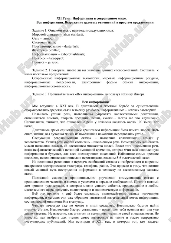 vek informatsii — DOC