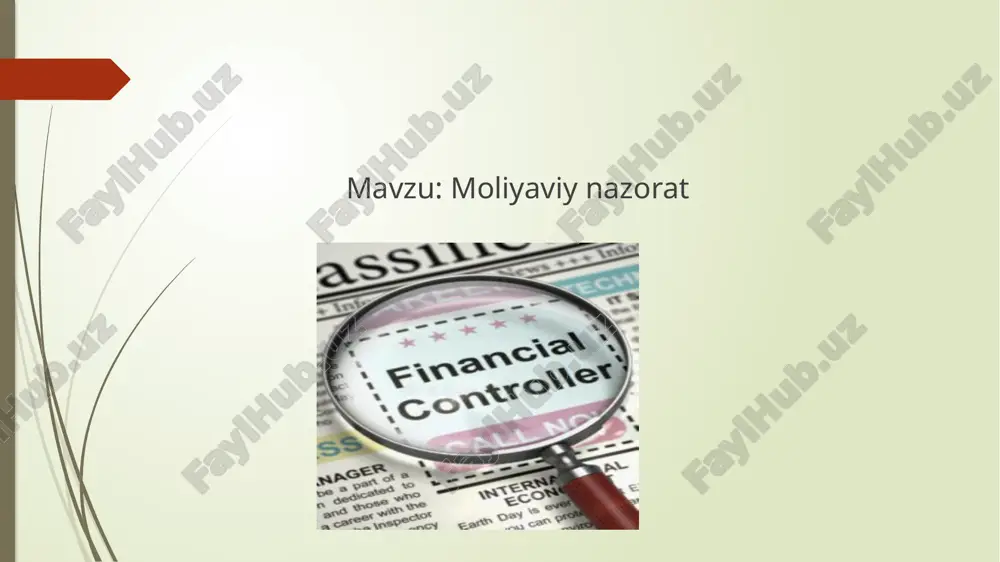 moliyaviy nazorat — PPTX