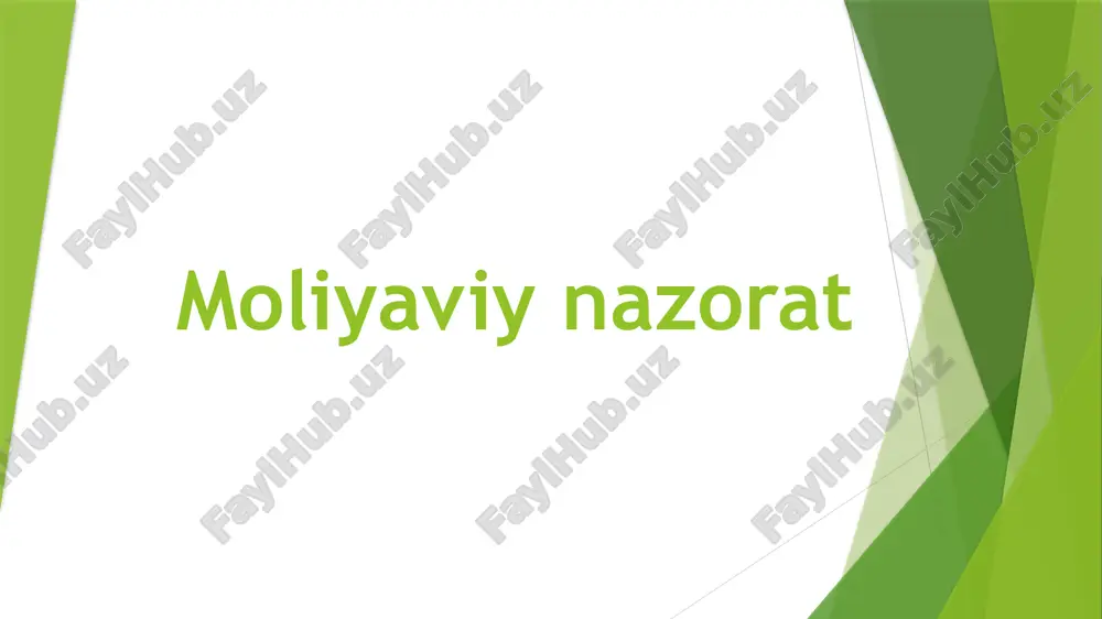moliyaviy nazorat — PPTX