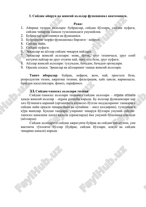 siydik ayiruv va jinsiy a'zolar funktsional anatomiyasi — PDF