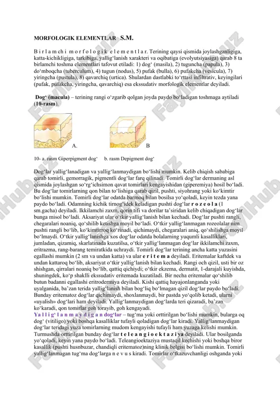 morfologik elementlar — PDF