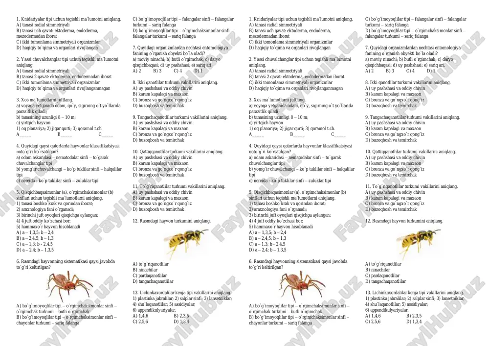 hayvonlar klassifikatsiyasi — PDF