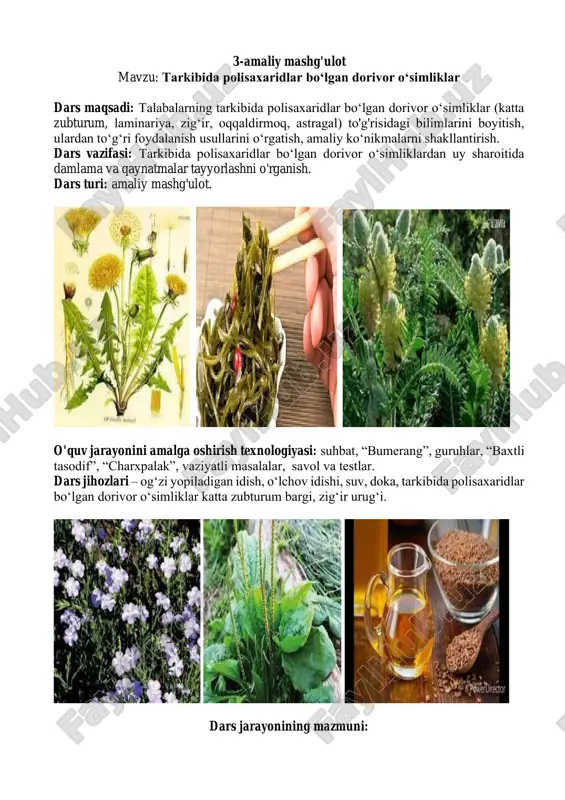 dorivor o‘simliklar va ulardan foydalanish — PDF