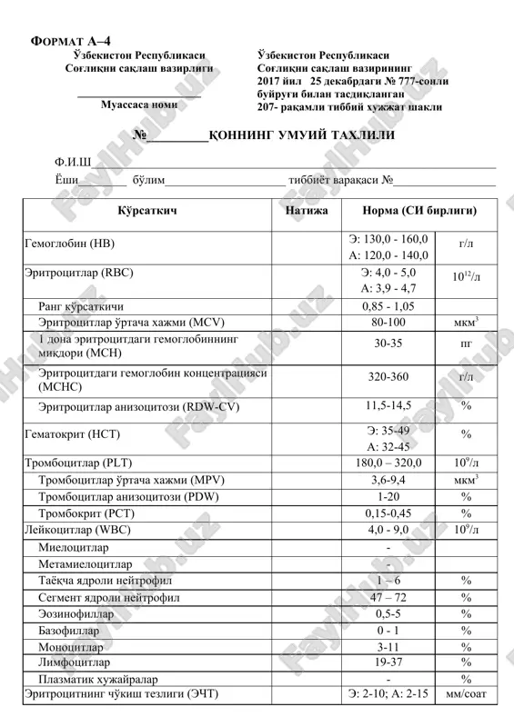 207-raqamli tibbiy xujjat shakli — DOC