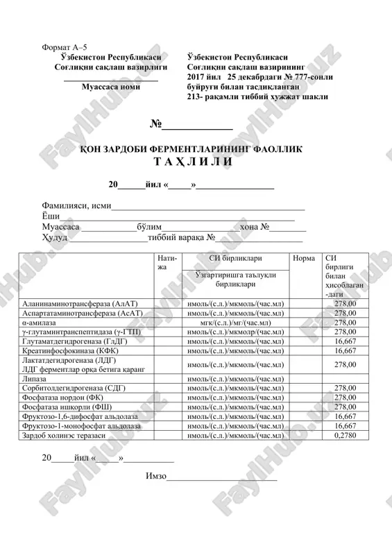 213-raqamli tibbiy hujjat shakli — DOC