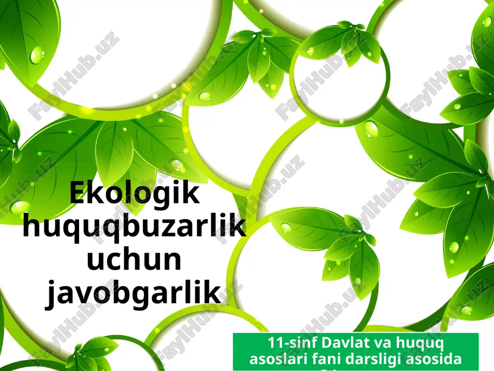 ekologik huquqbuzarlik — PPTX