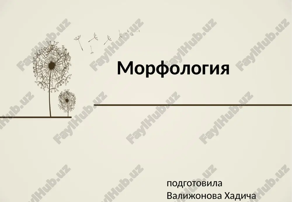 morfologiya — PPTX