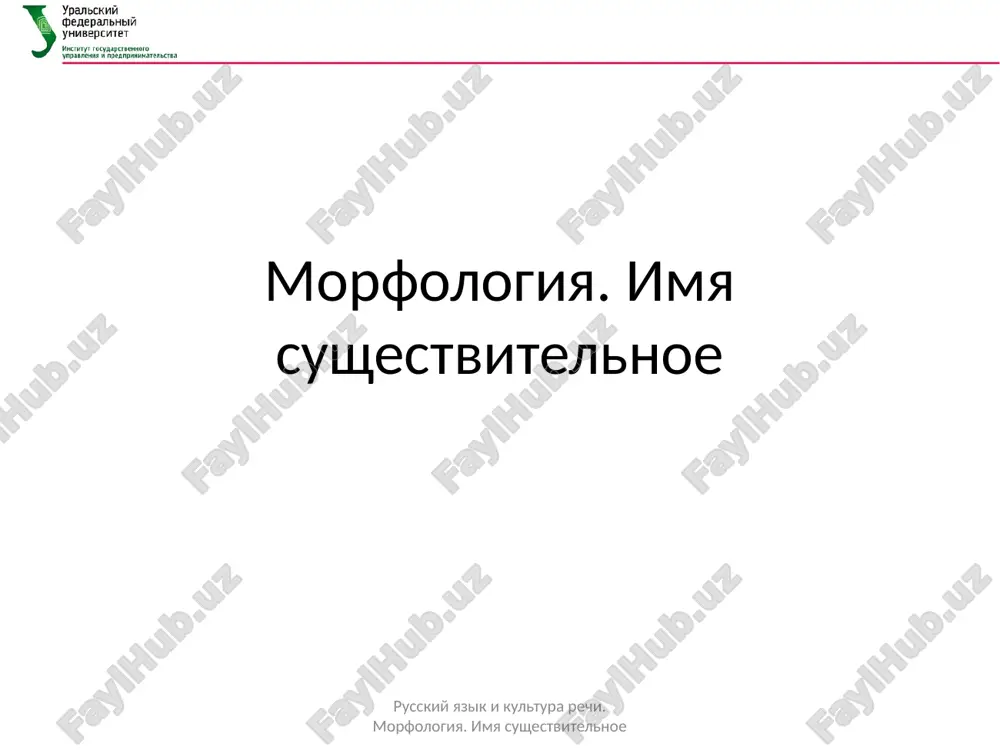 morfologiya. imya sushestvitelnoe — PPTX