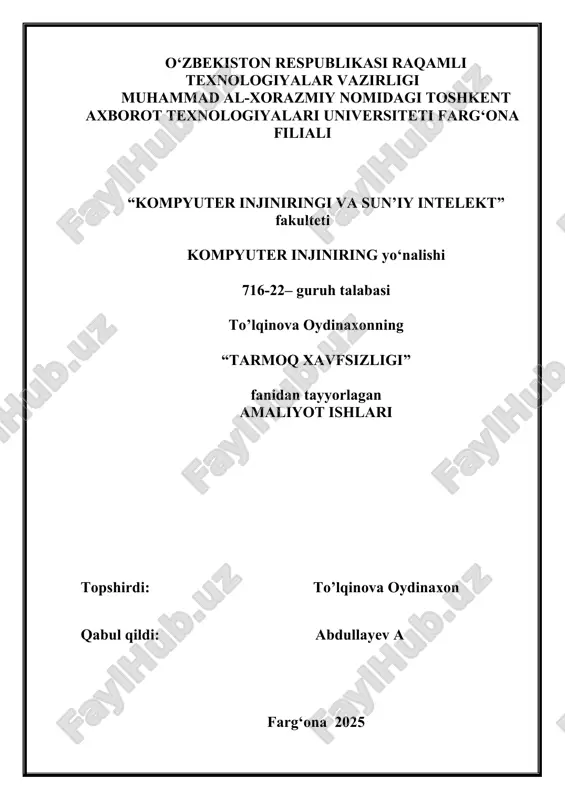 tarmoq xavfsizligi — DOCX