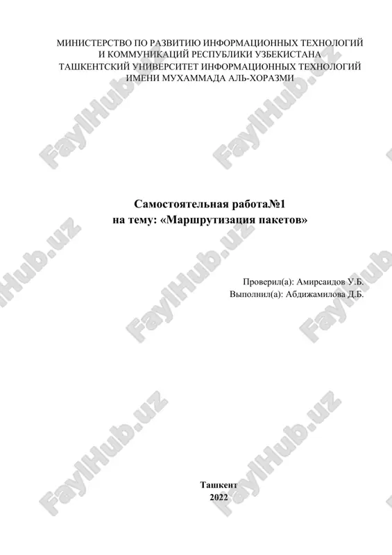 marshrutizatsiya paketov — DOCX