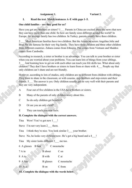 one child families – are they good for us? — DOCX