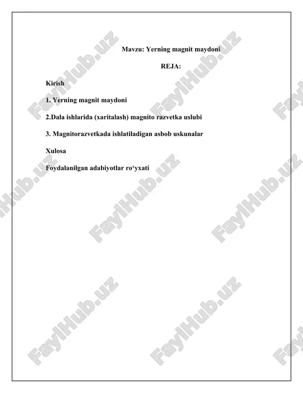 yerning magnit maydoni — DOC