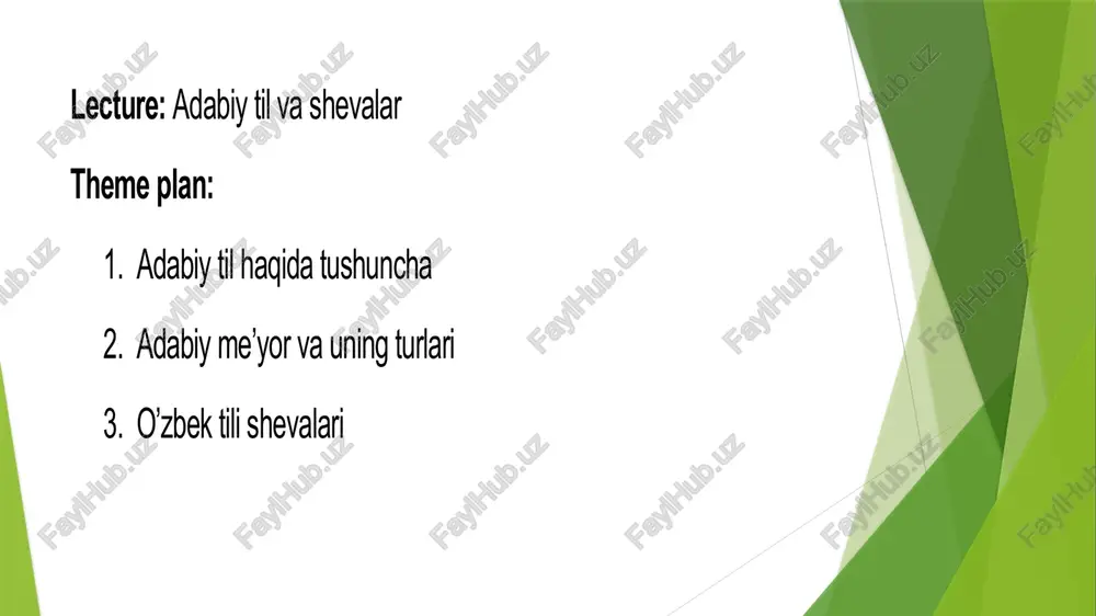 adabiytil qaytaishlangan va me'yori — PPTX