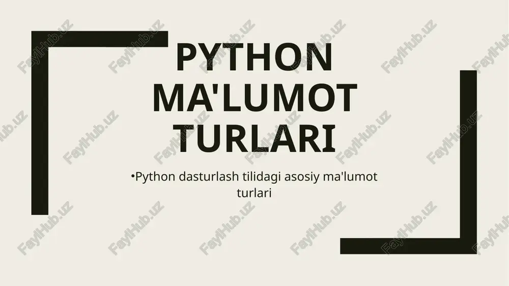 python ma'lumot turlari — PPTX