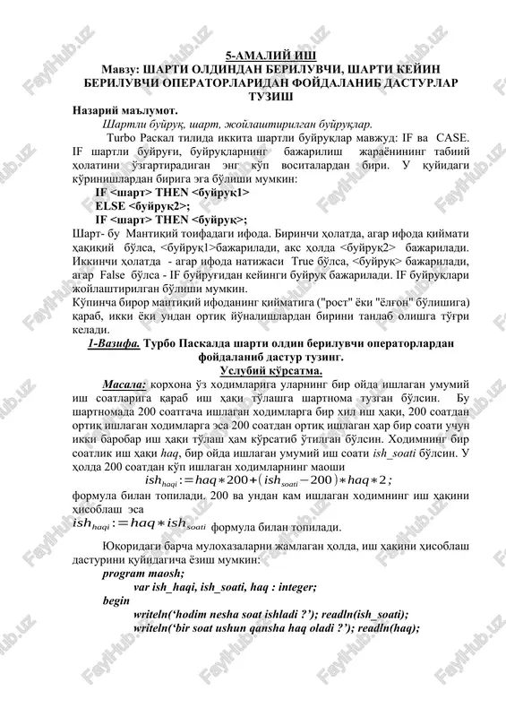 turbo pascalda shartli bujruqlar — DOCX