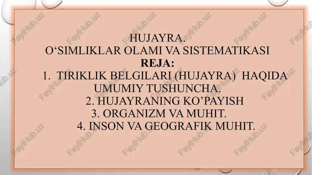 hujayra — PPTX