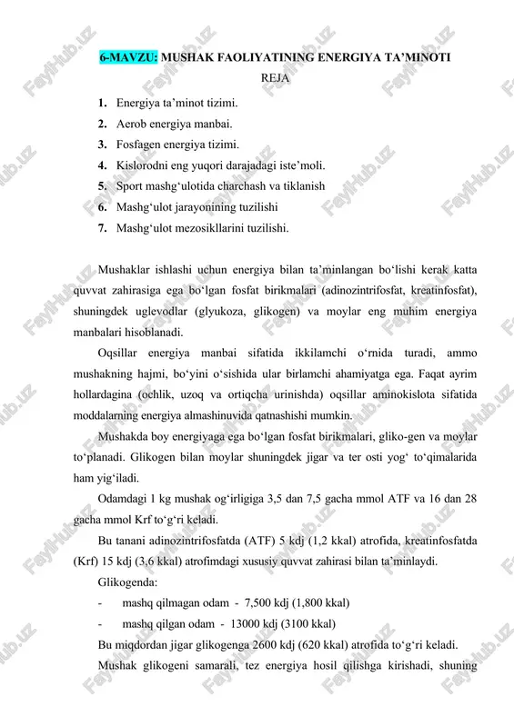 mushak faoliyatining energiya ta’minoti — DOCX