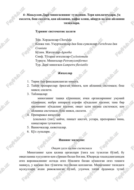 daryo minogasining tuzilishi — DOCX