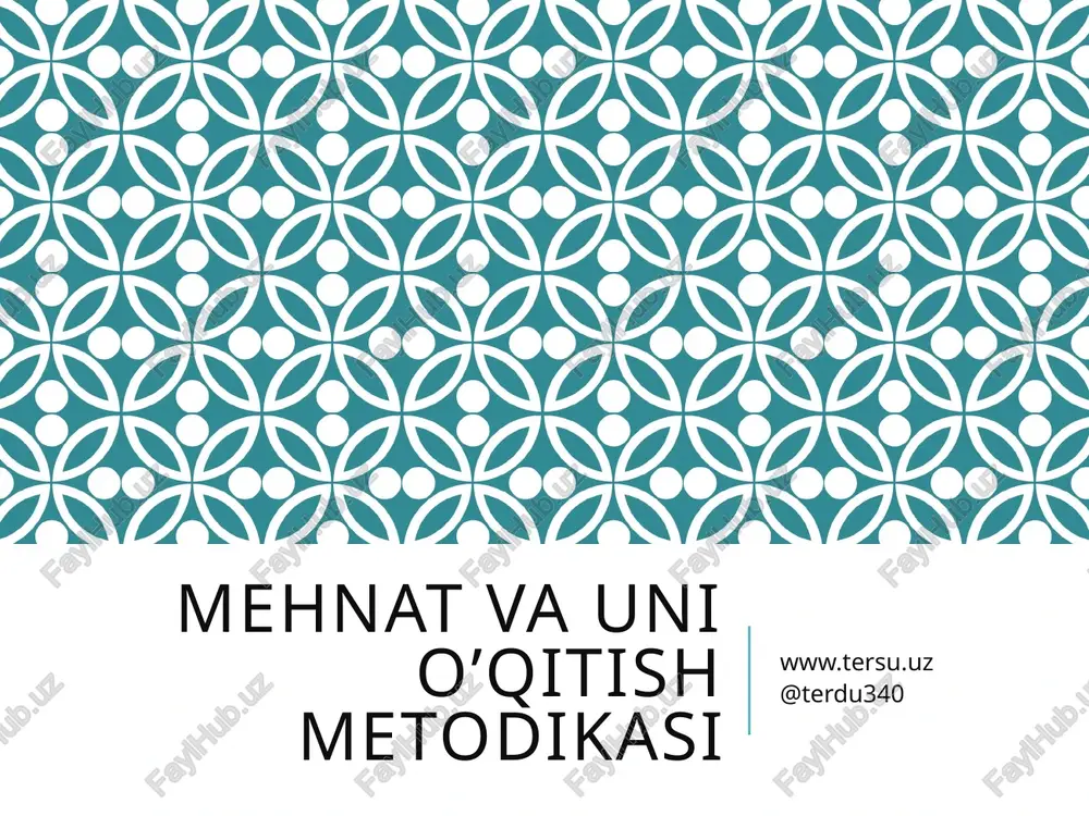 mehnat va uning o‘qitish metodikasi — PPTX