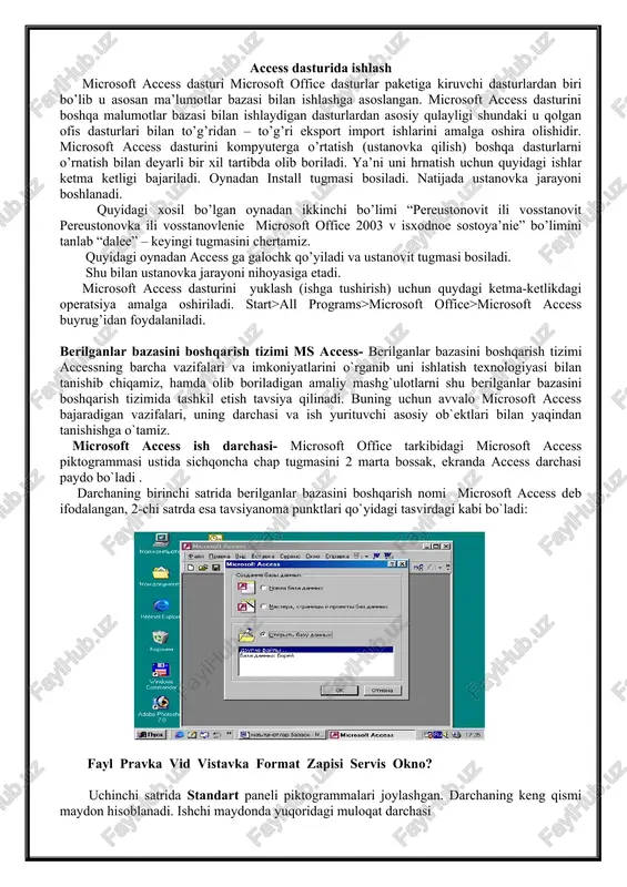 microsoft access — DOCX