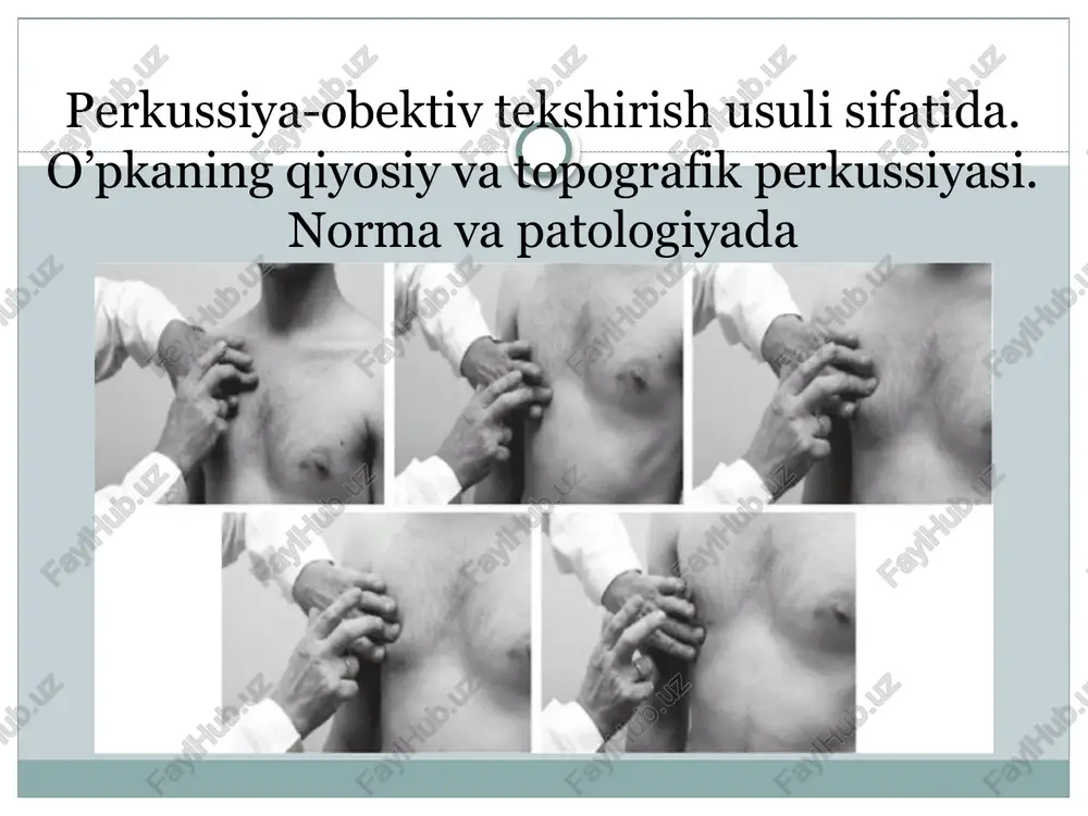perkussiya obektiv tekshirish usuli sifati — PPTX