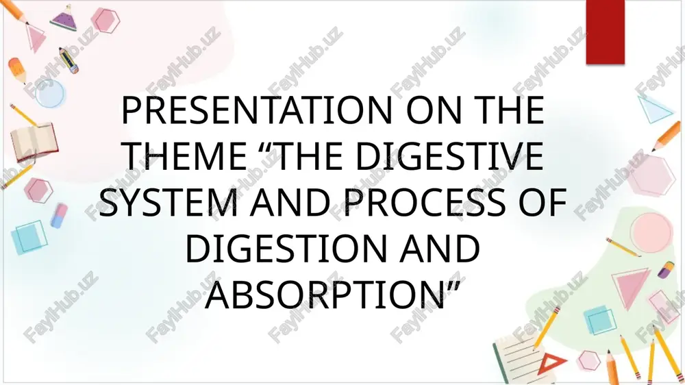 presentation on the theme “the digestive system and process of digestion and absorption” — PPTX