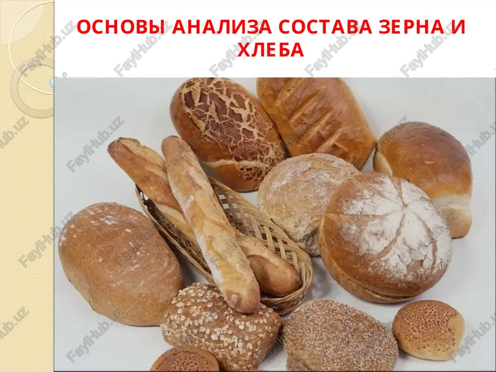 osnovi analiza sostava zerna i xleba — PPT