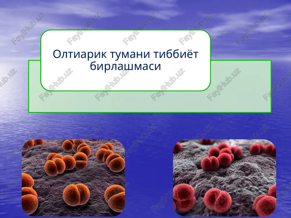 meningokokkinfektsiyasi — PPTX
