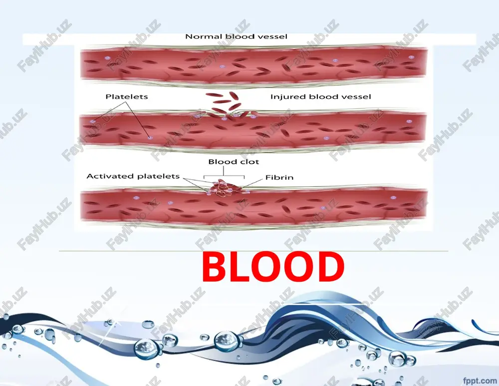 blood — PPTX