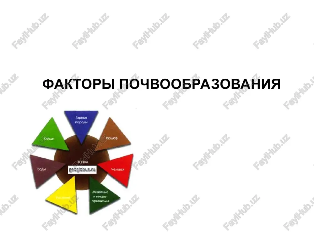 pochvoobrazovanie — PPT