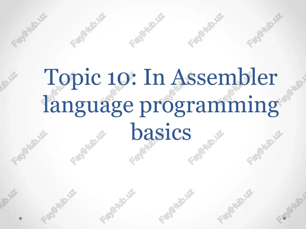 assembler language programming basics — PPTX