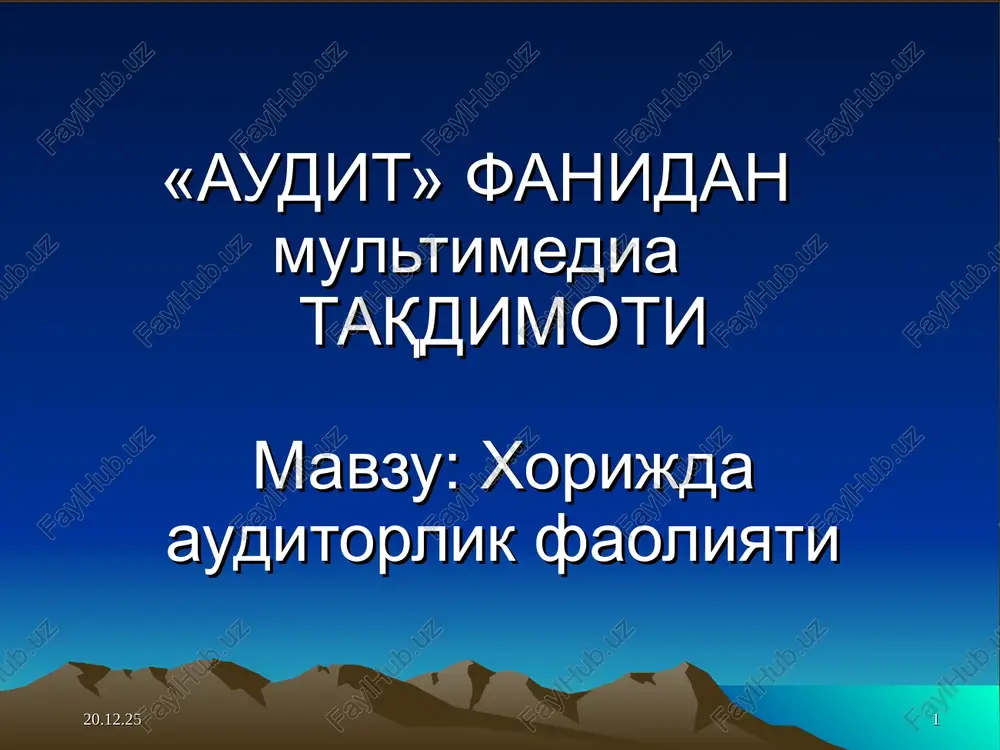 audit fanidan multimedia taqdimoti — PPT