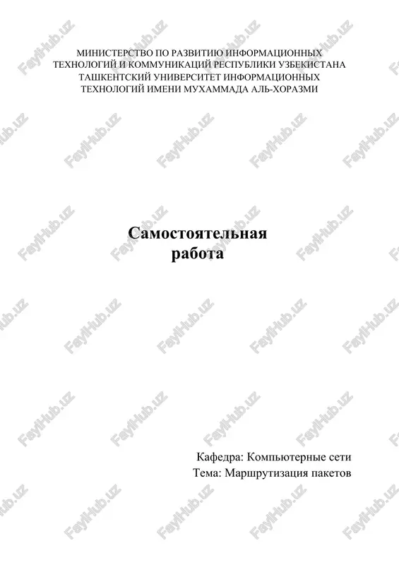 marshrutizatsiya paketov — DOCX