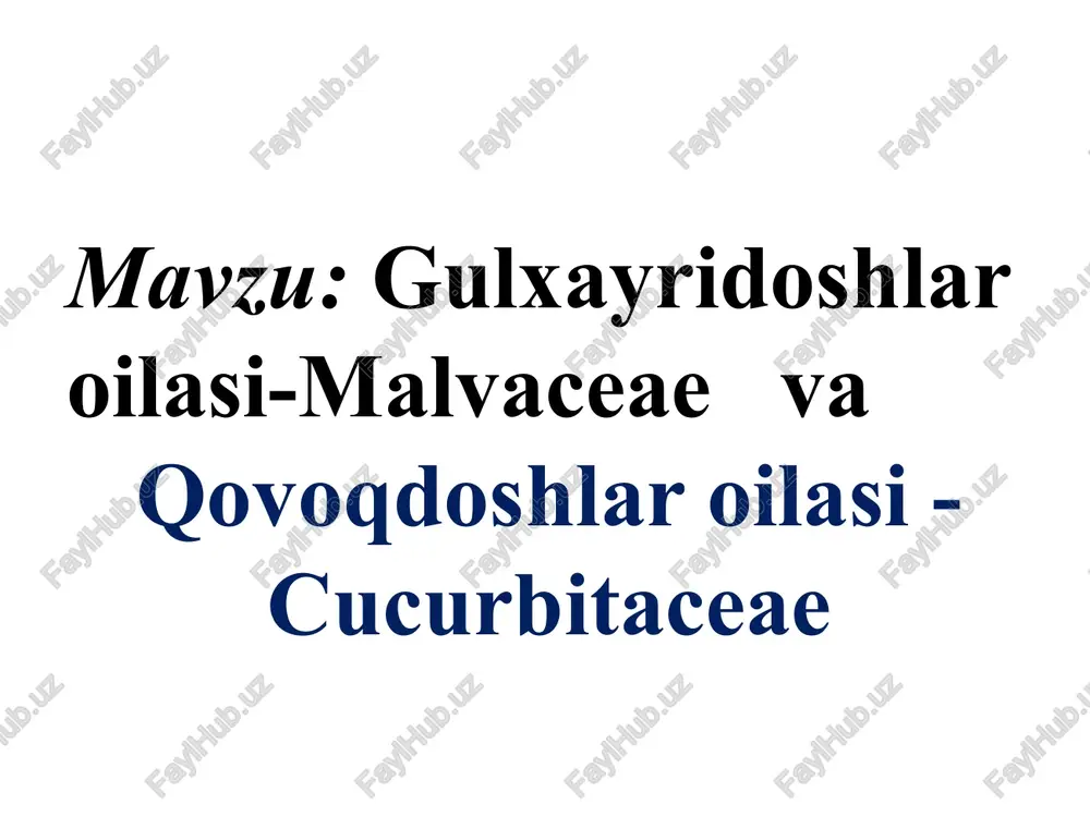 gulxayridoshlar oilasi-malvaceaeva — PPTX