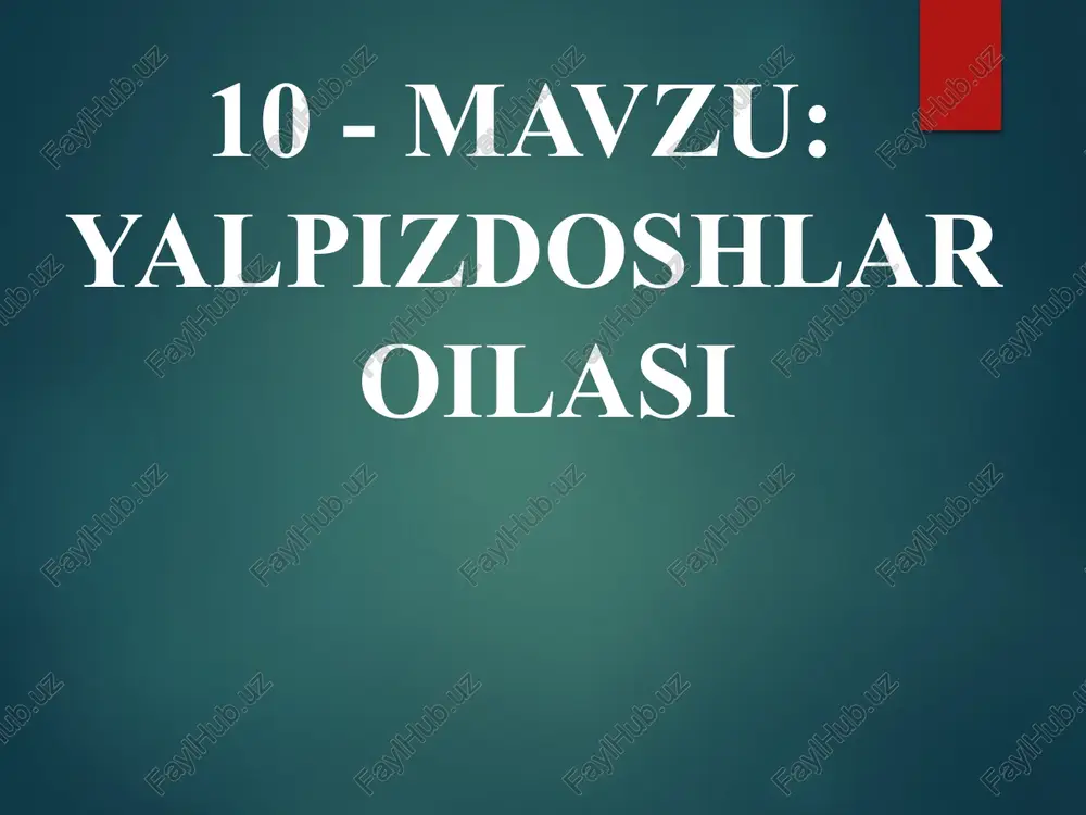 yalpizdoshlar oilasi — PPTX