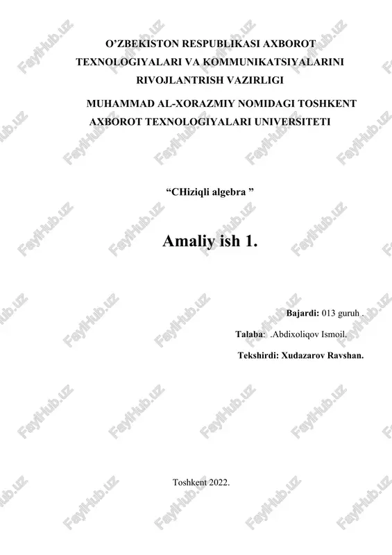 chiziqli algebra — DOCX