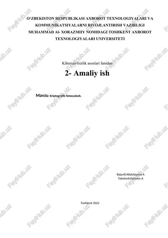 kriptografik himoyalash — DOCX