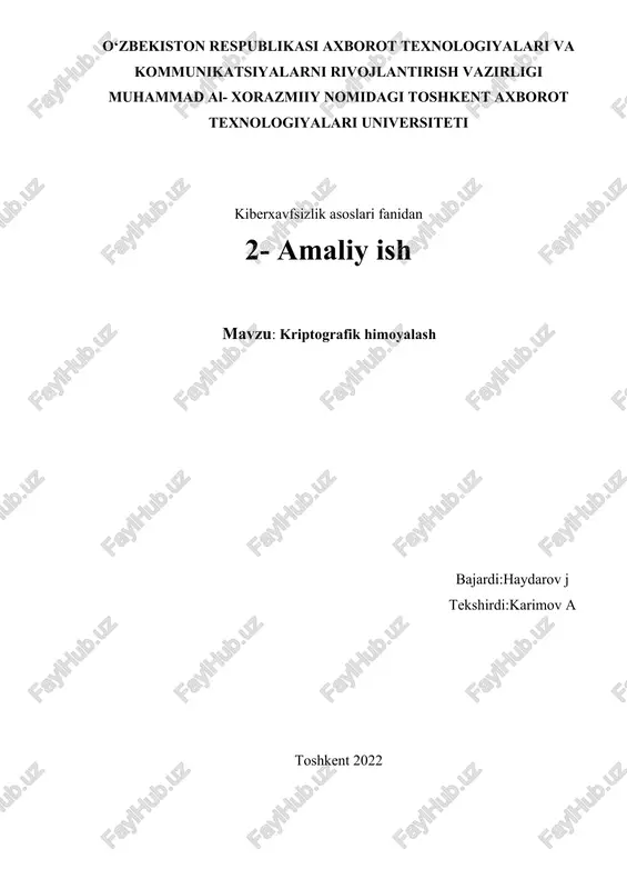 kriptografik himoyalash — DOCX