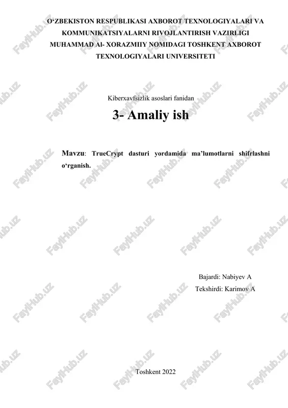 truecrypt dasturi — DOCX