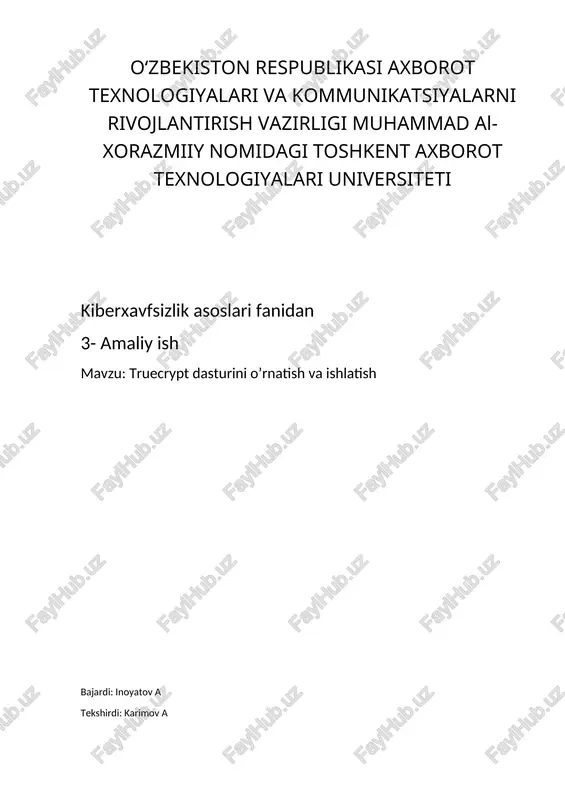 truecrypt dasturini o’rnatish va ishlatish — DOCX