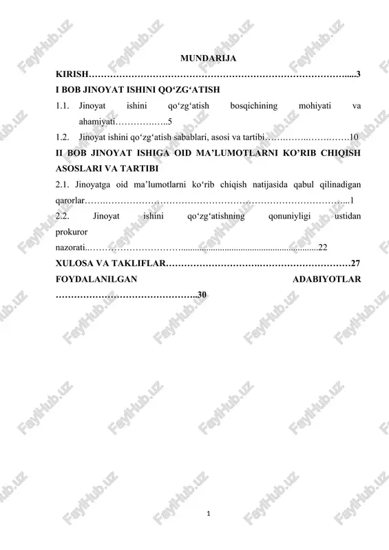 jinoiyat ishini qo'zg'atish — DOCX