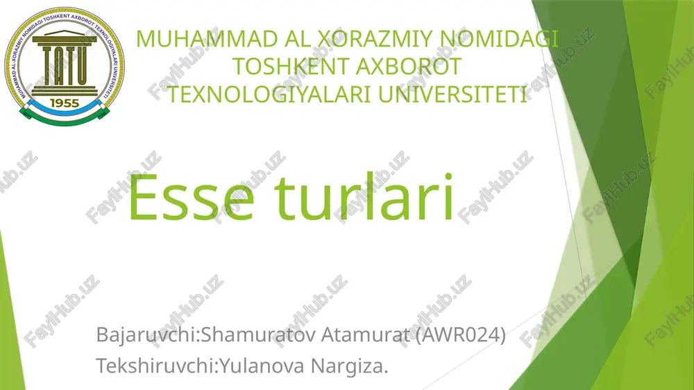 esseturlari — PPTX