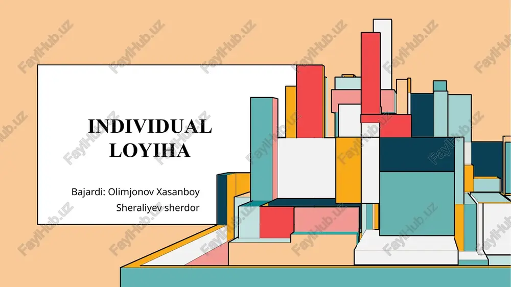 individual loyiha — PPTX