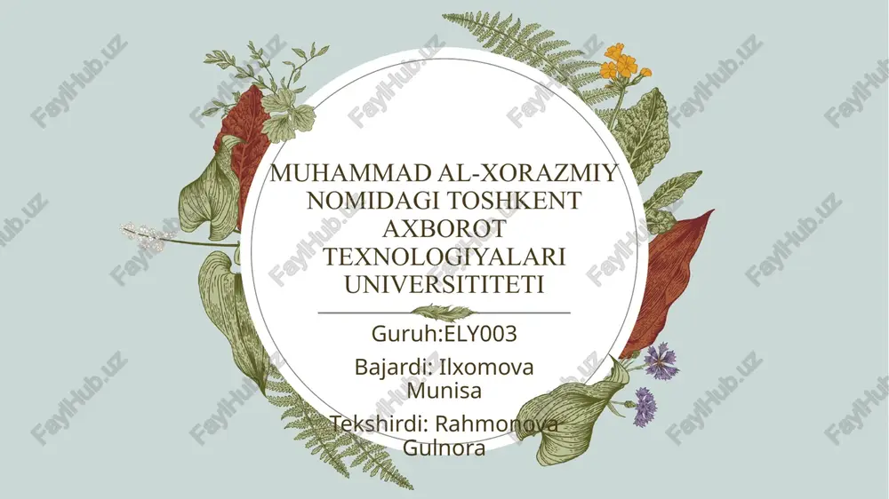 mustaqil ish 1 — PPTX