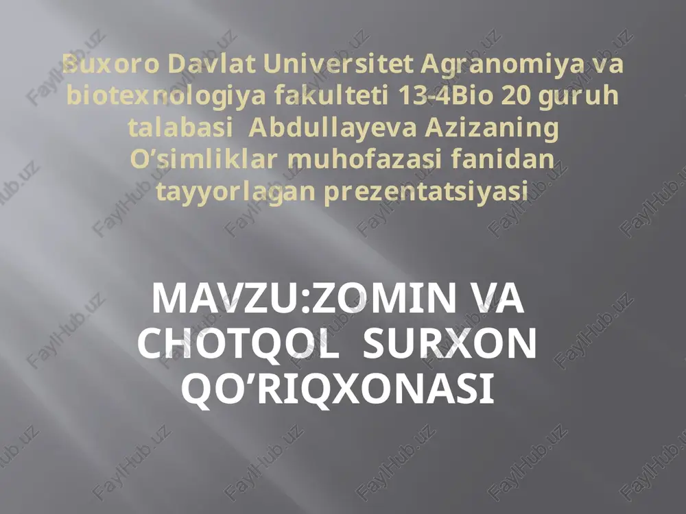 zominvachotqolsurxonqo’riqxonasi — PPTX