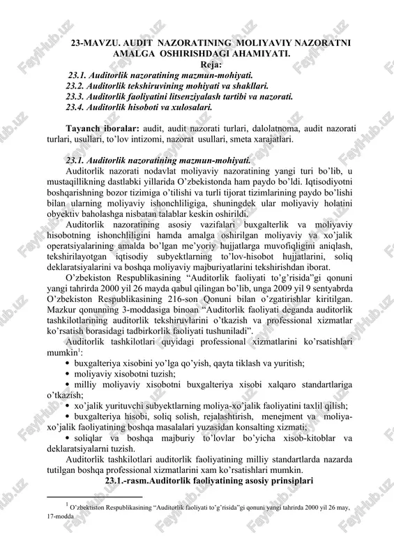 auditorlik nazorati — DOCX